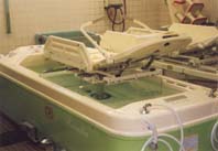 寝たきりのお年寄りも大喜び ほか (2000年1月25日号)