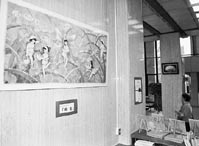 キャンペーン使節・愛称を募集 ほか (2001年1月28日号)