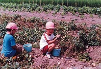 ★街角記者クラブ★ ほか (2000年8月4日号)