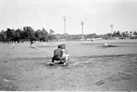 1・1・3平成杯少年野球大会 4強出揃う ほか (2000年11月7日号)