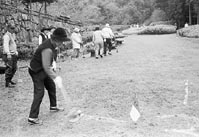 大空と遊ぼうﾖ！ フェスタ ほか (2000年11月11日号)