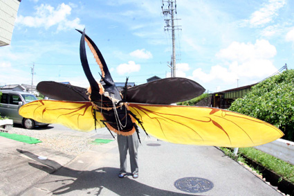 全長７メートル昆虫立体凧など25点 特別展「凧に無限の夢を乗せて」