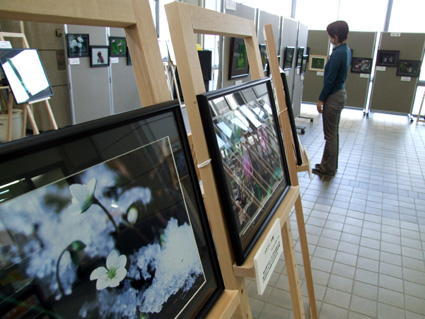 植物の生命力あふれる44枚