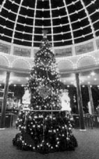 八日市市西市辺 ほか (2000年12月18日号)