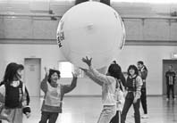 公共用花壇向けに ほか (2000年11月28日号)