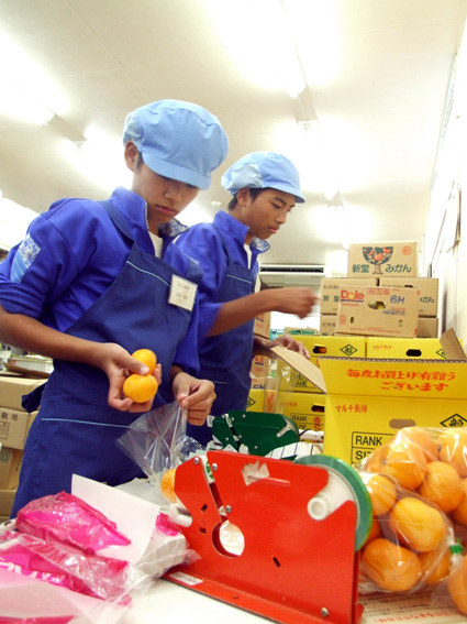 未来へのメッセージ レッツゴー！職場体験