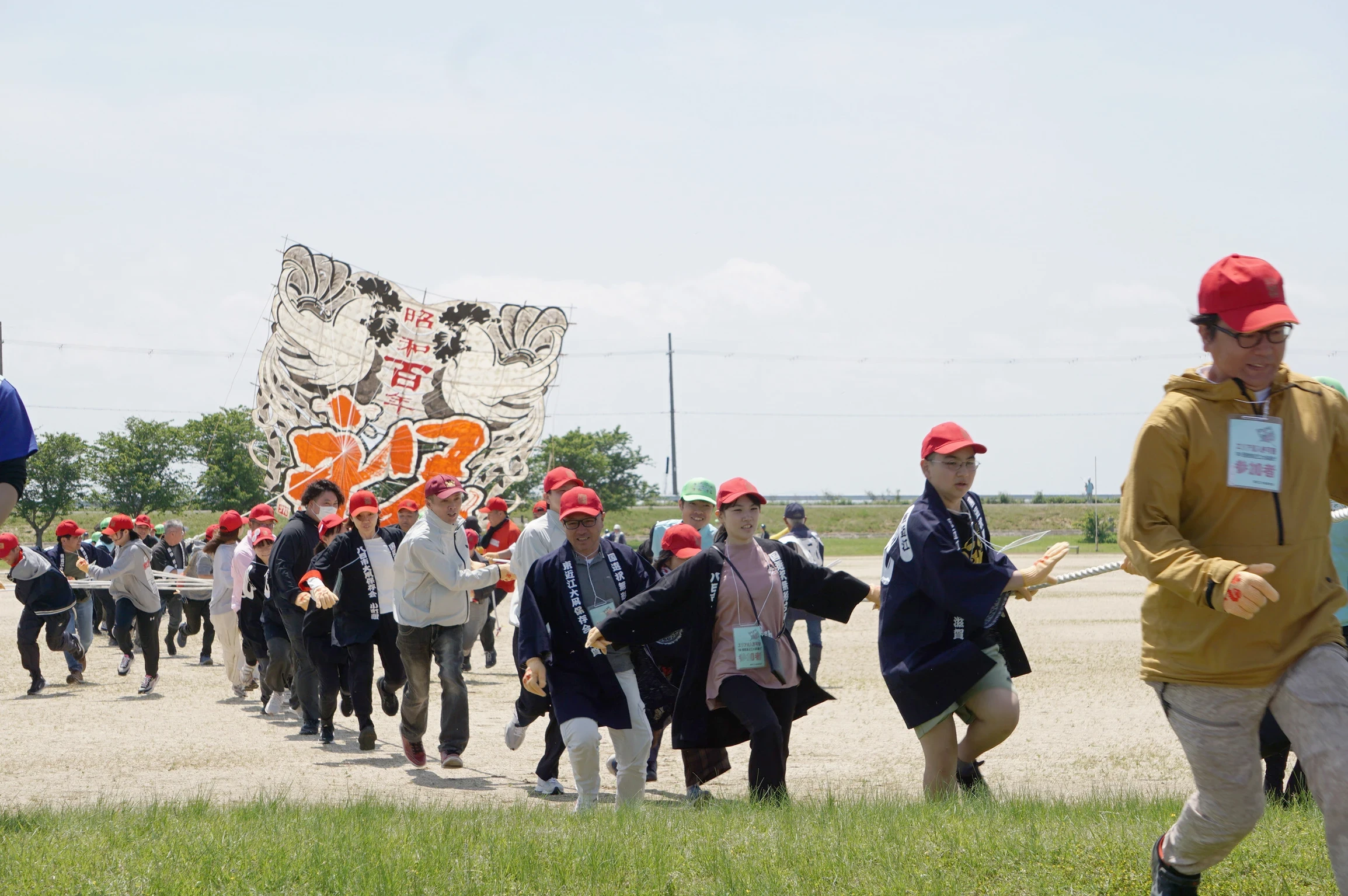 100畳敷東近江大凧が11年ぶり飛揚 | 滋賀報知新聞