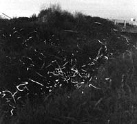 一般質問 13日午前11時に開会 市民密着の諸問題ただす ほか (2000年6月13日号)