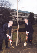 記念のミレニアム植樹 ほか (2000年1月7日号)