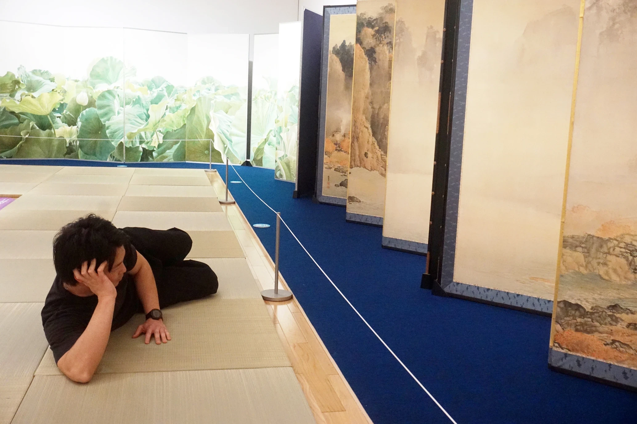 県立美術館「ためして、みる展」開催中