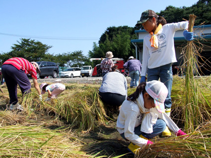 親子米づくり体験