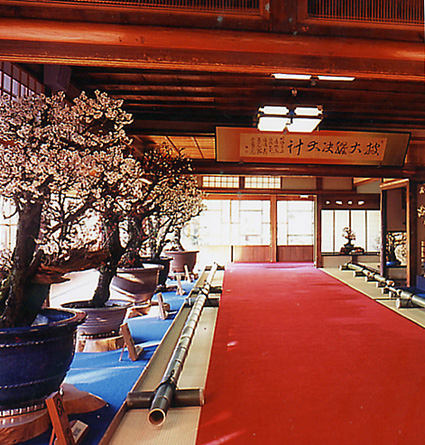 早春の風物詩「長浜盆梅展」