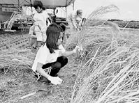 一般会計実質収支 ３億３千万円の黒字 ほか (2000年9月7日号)