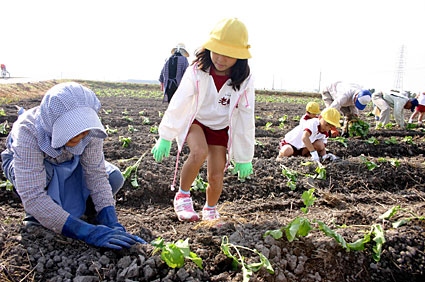 環境美化教育優良校に　安土町立老蘇小学校