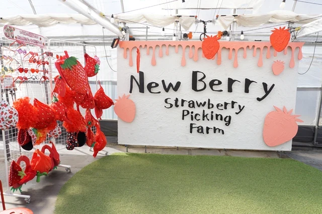 若者人気集める竜王いちご農園「New Berry」